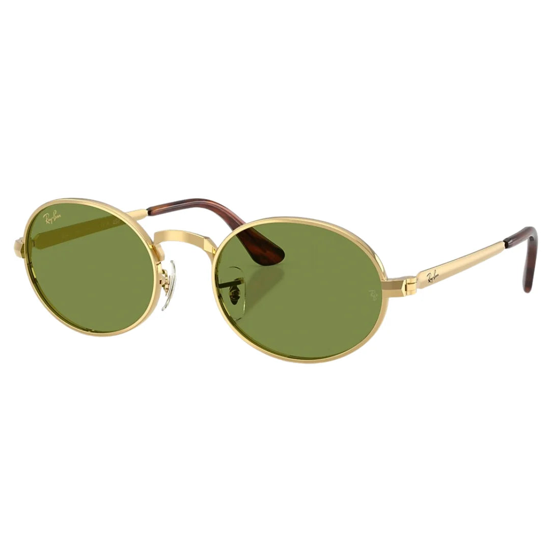 Ray Ban RB3931 ASAP Rocky 0014E 54 Sunglasses