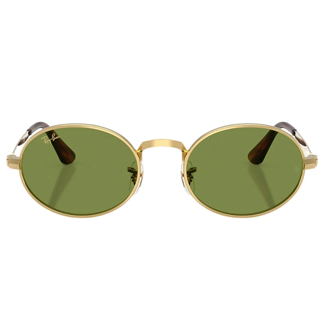 Ray Ban RB3931 ASAP Rocky 0014E 54 Sunglasses