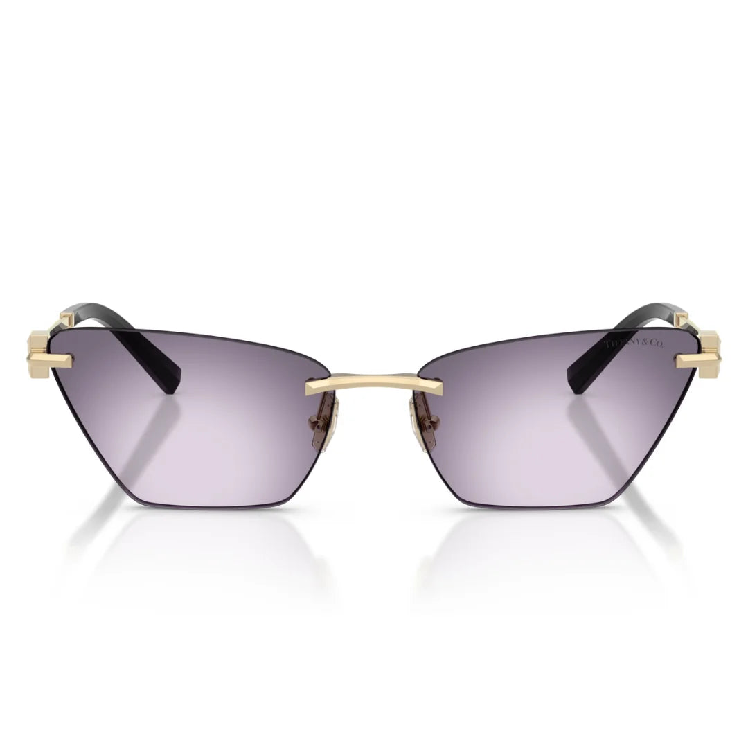 Tiffany & Co. TF3120 62438H Sunglasses