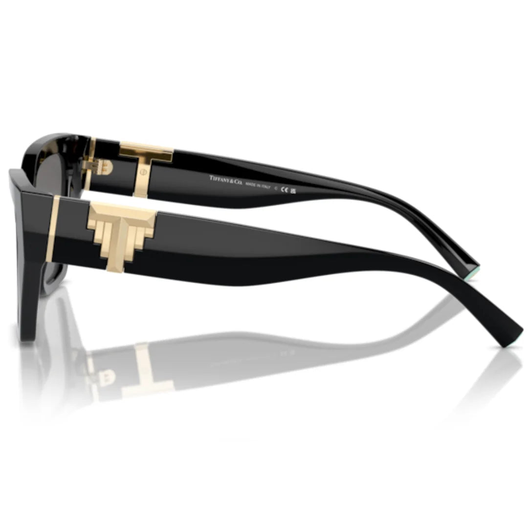 Tiffany & Co. TF4218 8001 81 Polarised