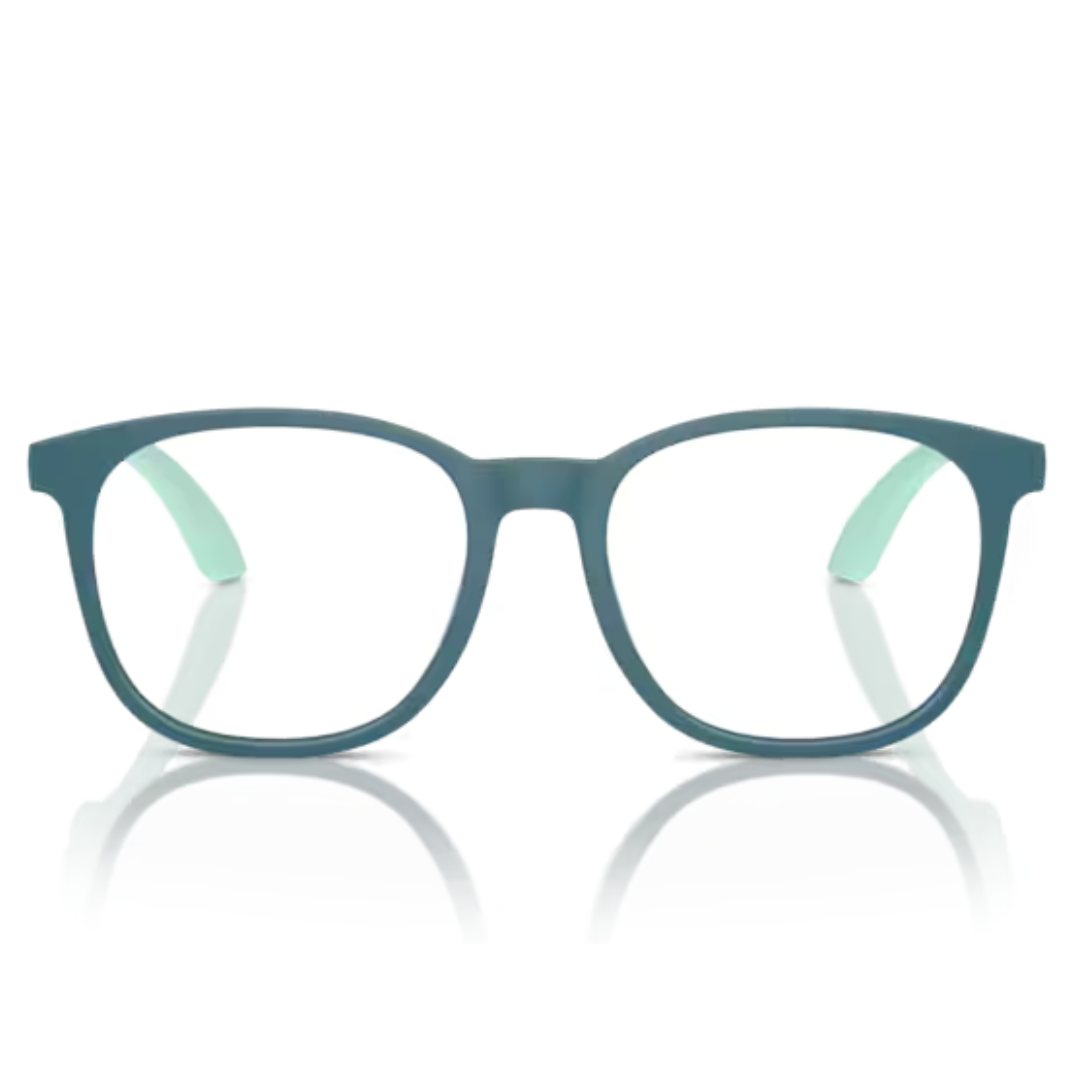 Emporio Armani 0EK3004 6123