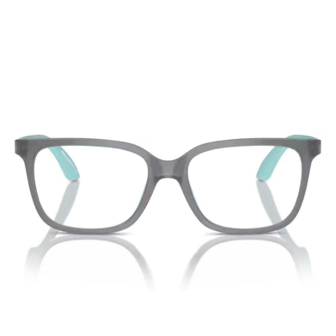 Emporio Armani 0EK3006 6134