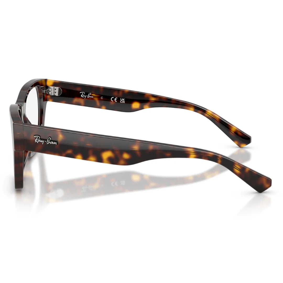 Ray Ban 0RX5448 2012 53