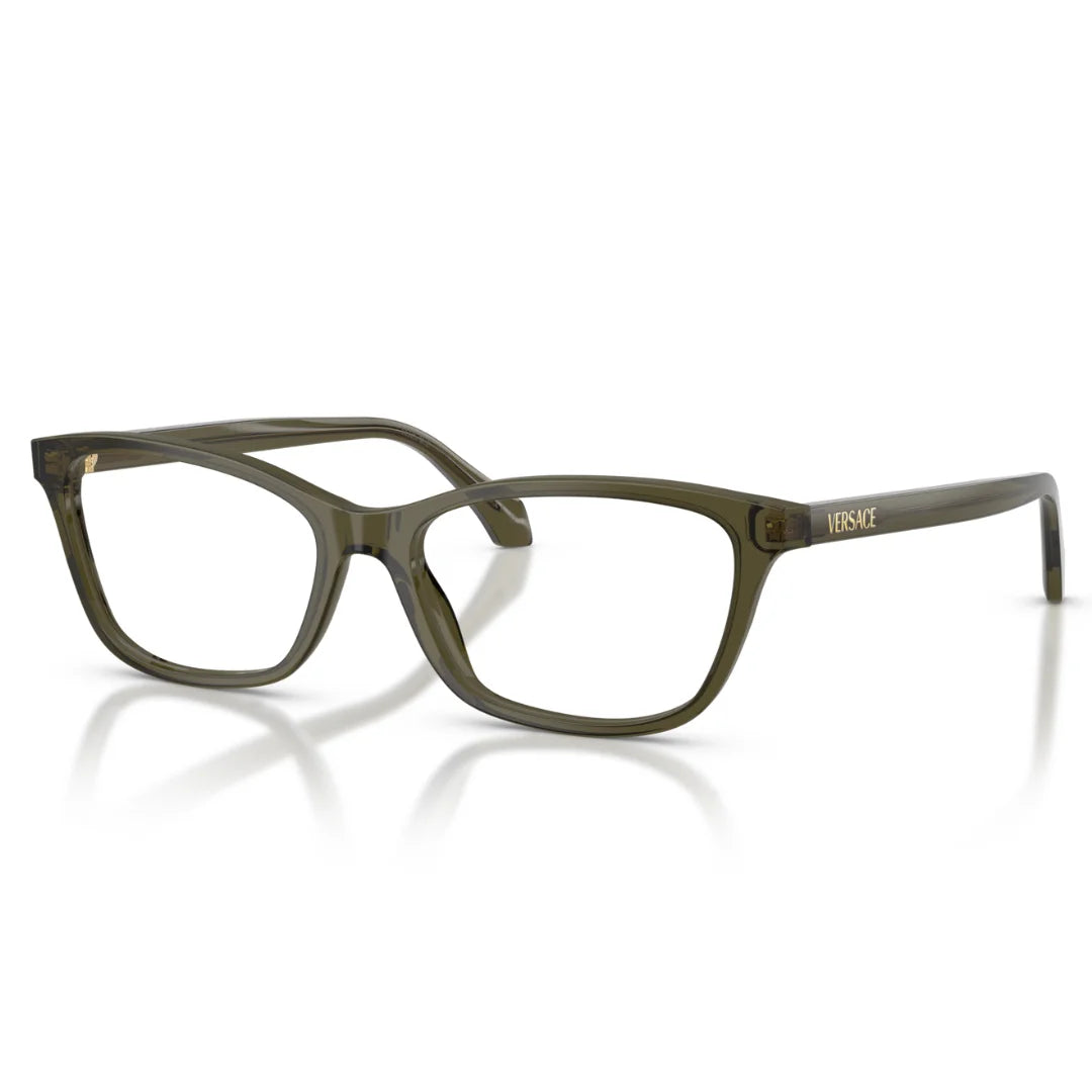 Versace VE3375 5542 54