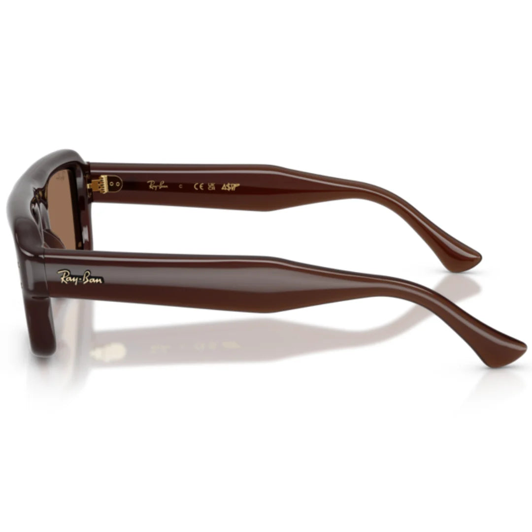 Ray Ban RB4954 6896 73 Sunglasses