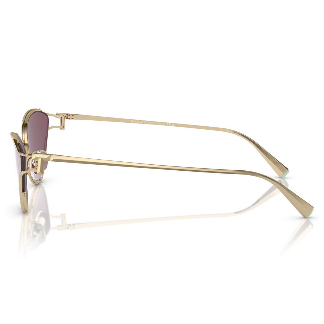 Tiffany & Co. TF3095 6194 AK
