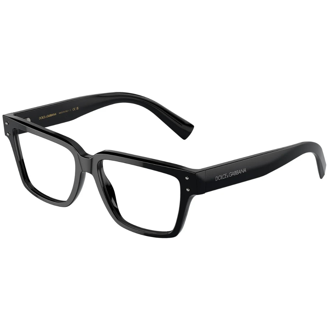 Dolce & Gabbana DG3383 501