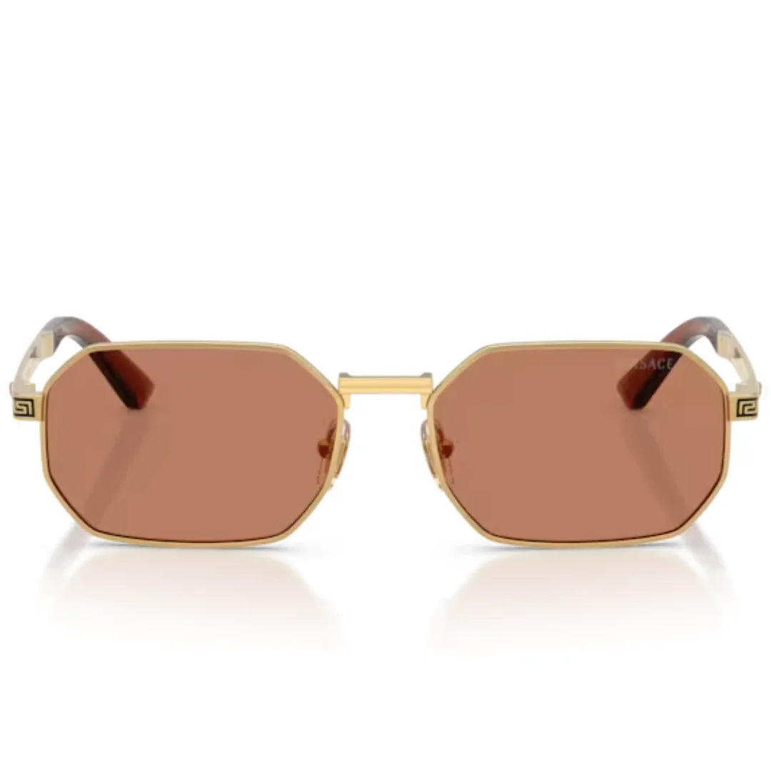 Versace VE2297 100273 54 Sunglasses