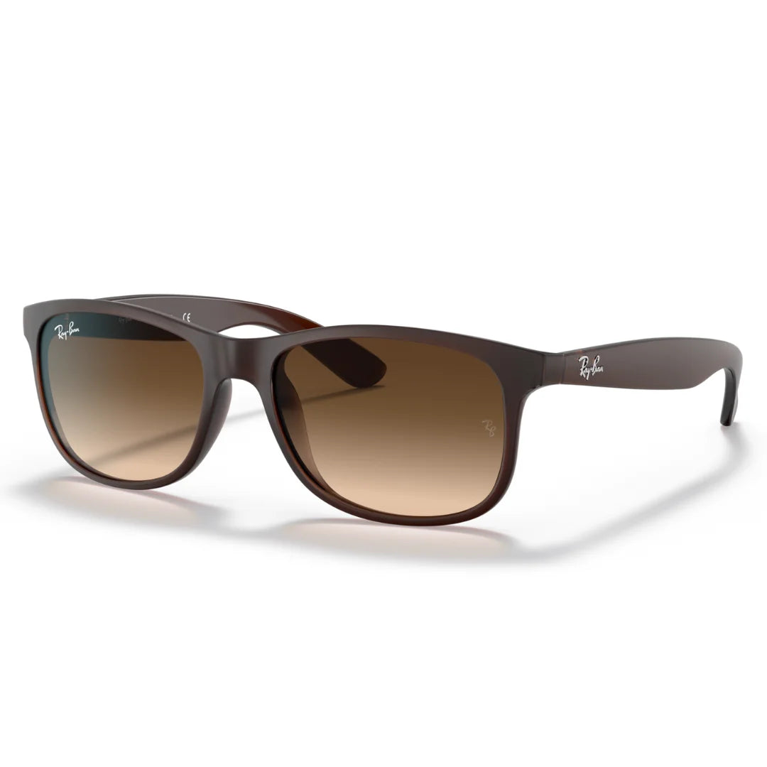 Ray Ban RB4202 6073