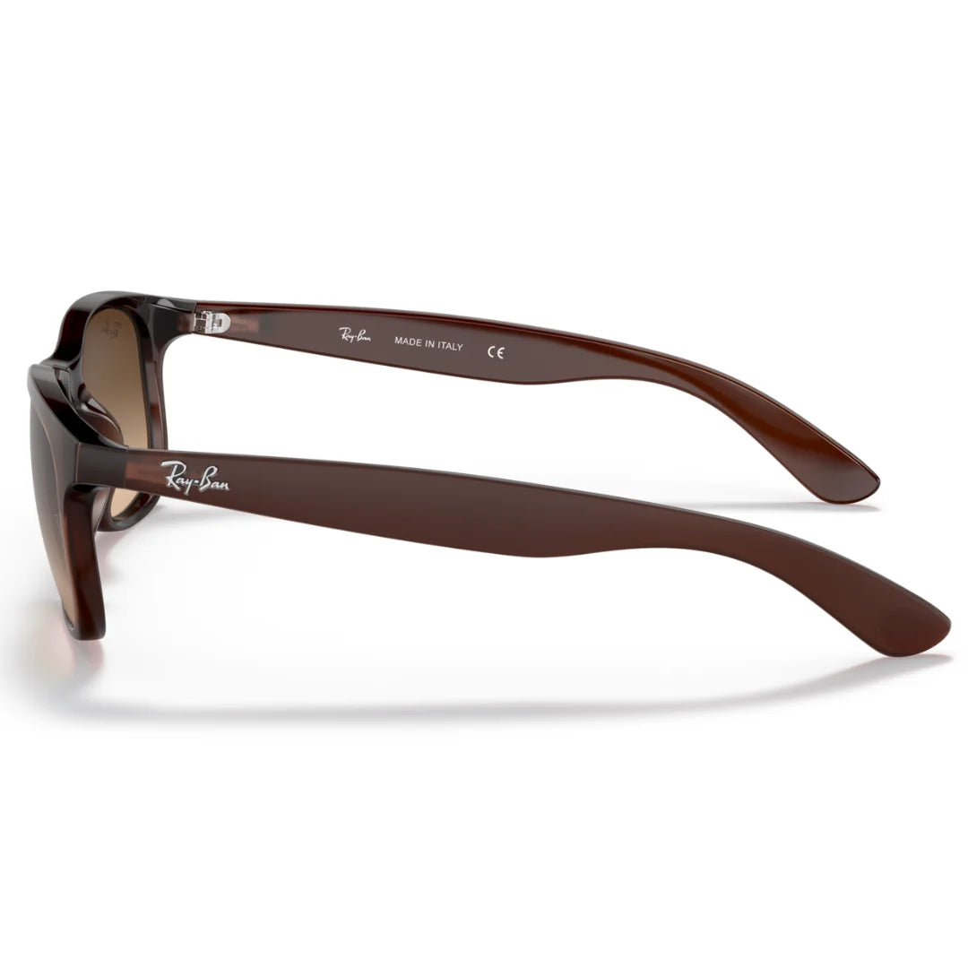 Ray Ban RB4202 6073