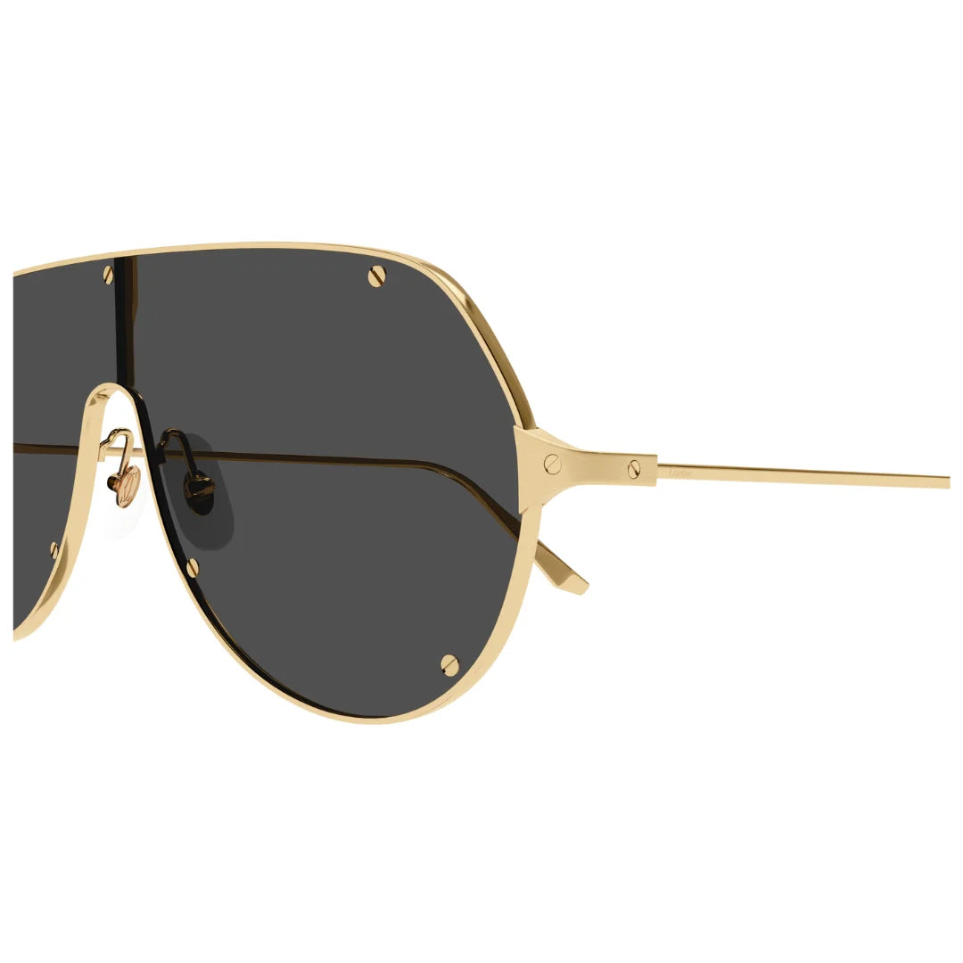 Cartier CT0324S 001