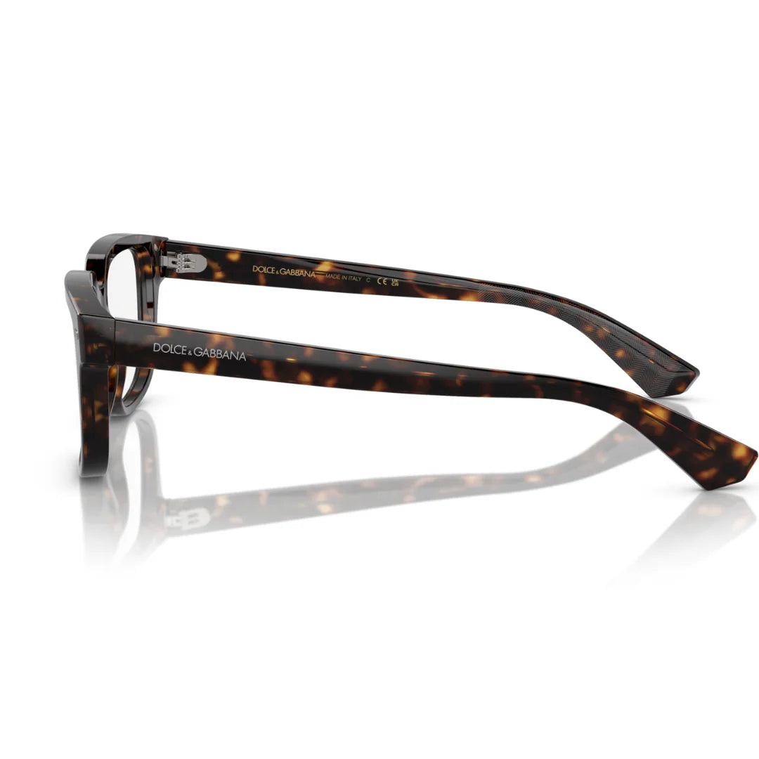 Dolce and Gabbana DG3380 502