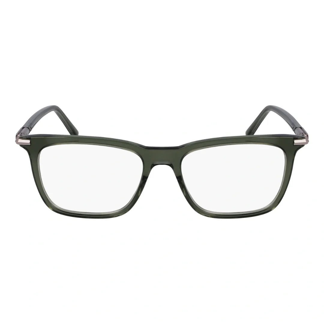Ferragamo SF3007 317