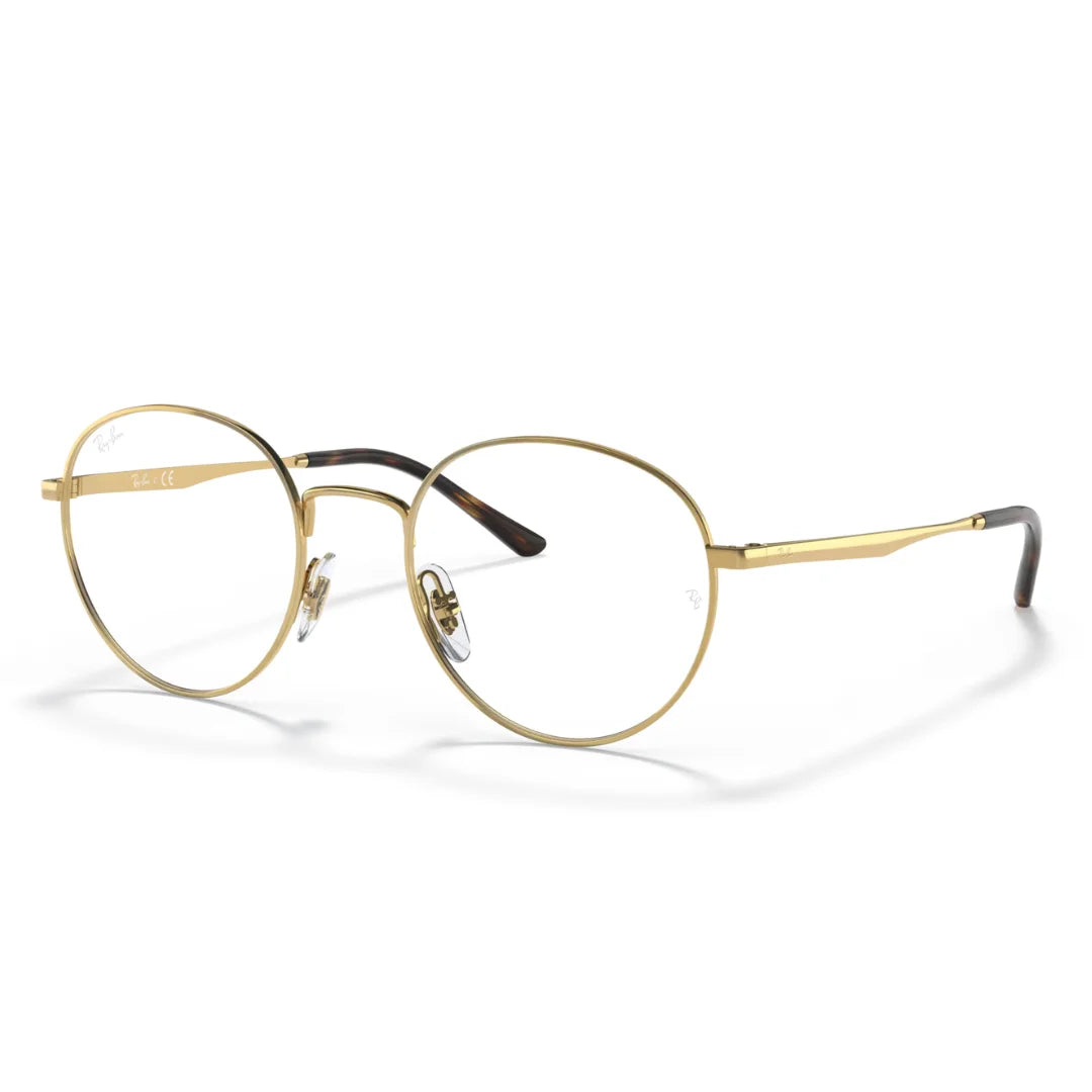 Ray Ban RB3681V 2500