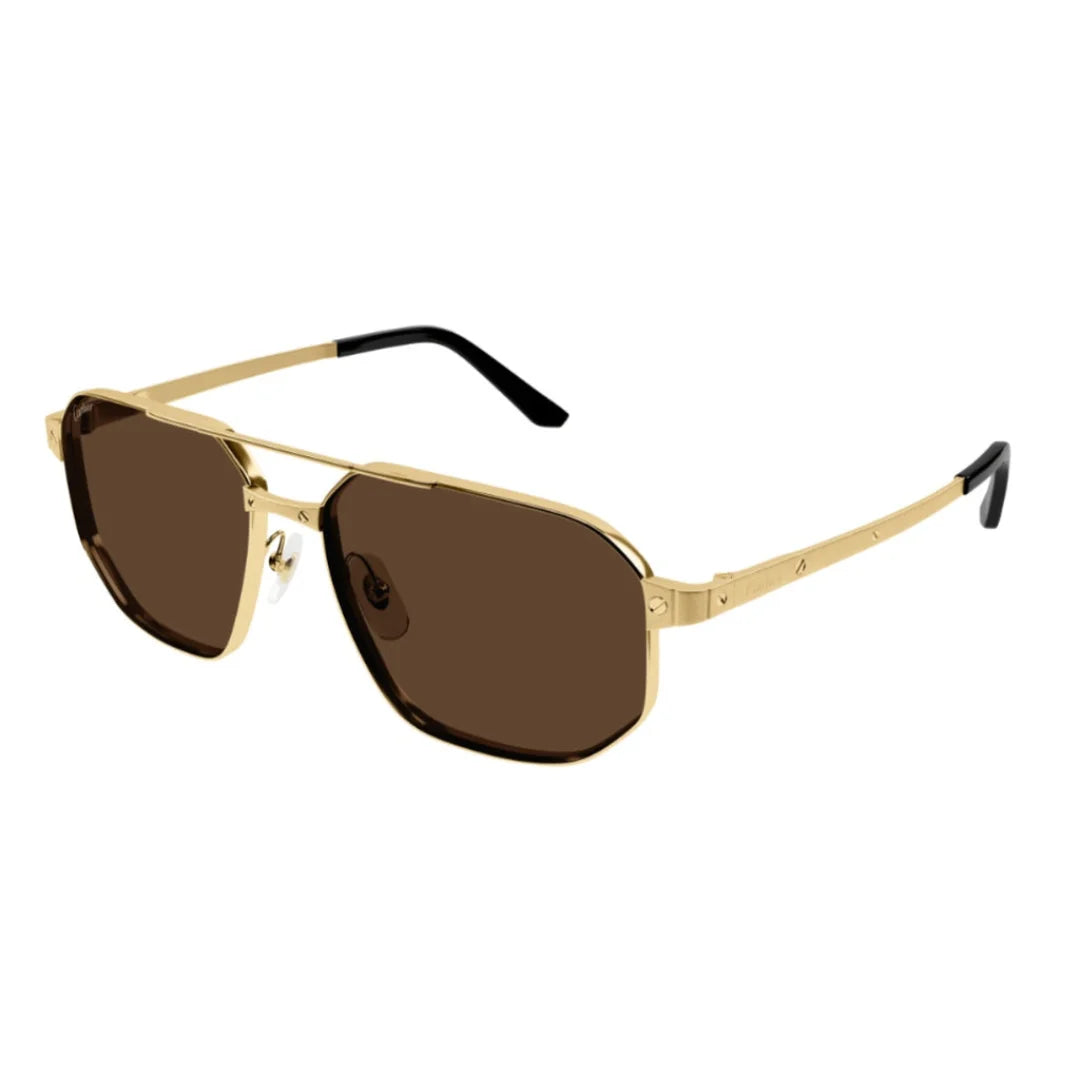 Cartier CT0462S 004