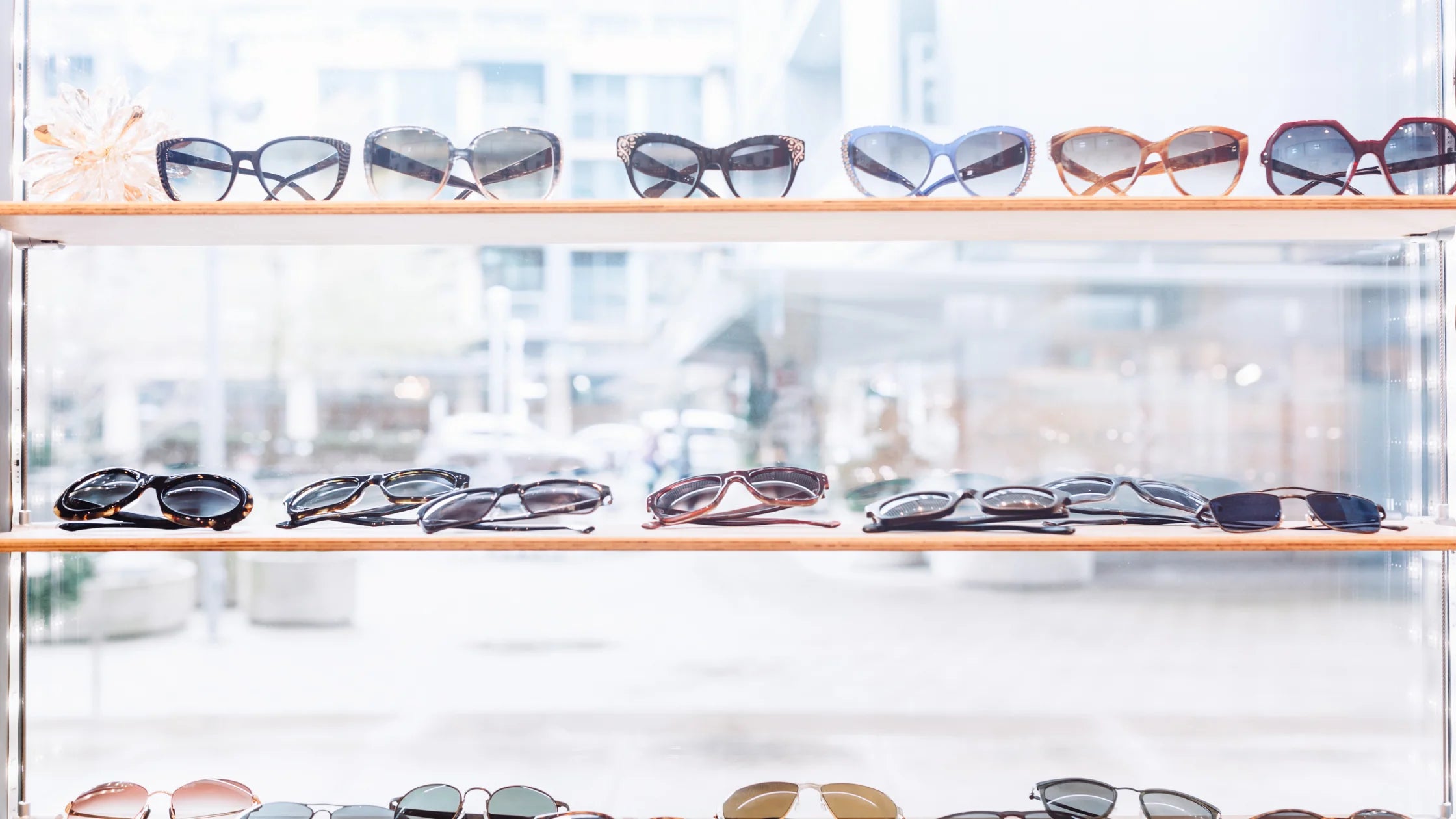 Prescription Sunglasses in Mumbai – Turakhia Eyewear