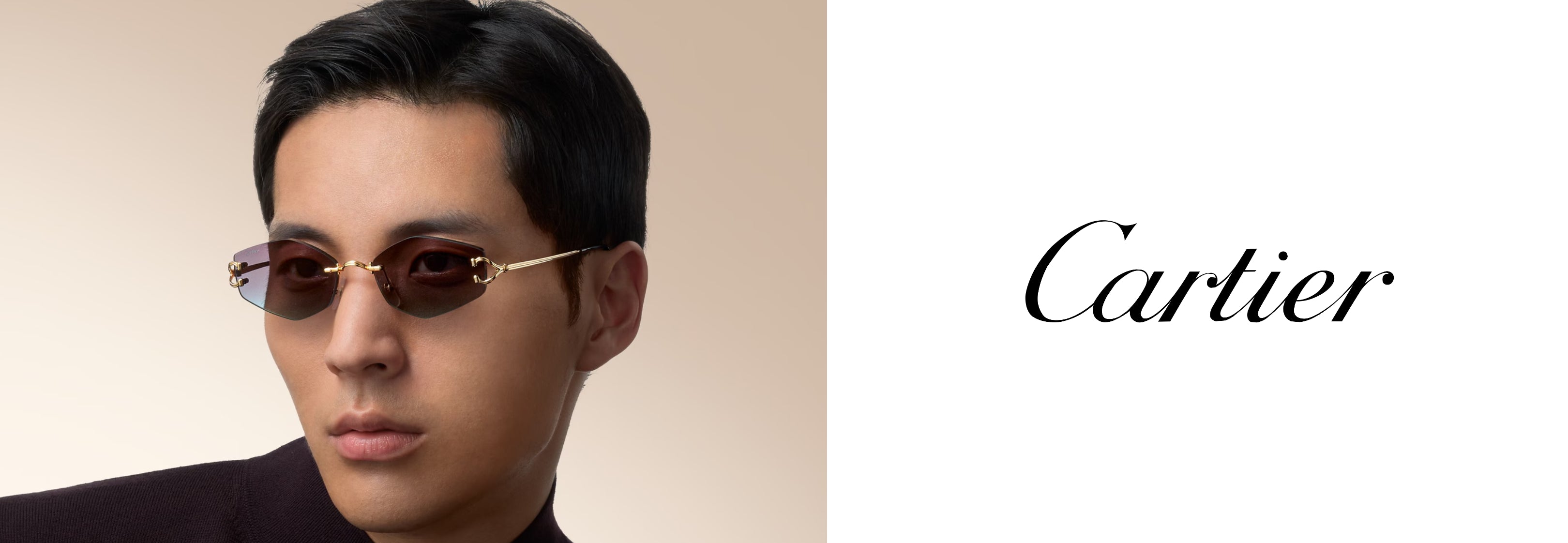 Cartier Sunglasses and Optical Frames