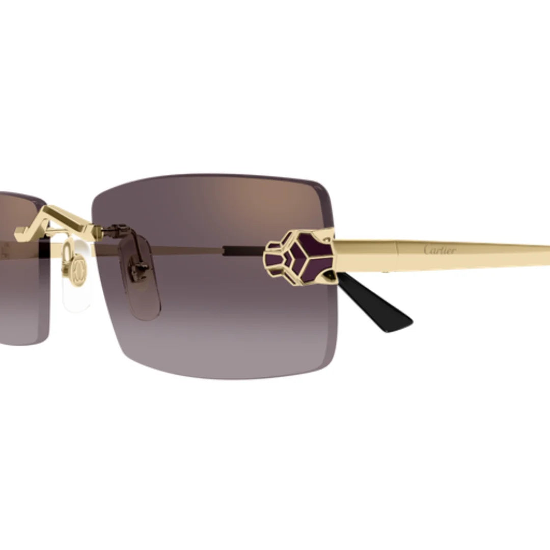 Cartier CT0598S 005 PanthÃ¨re de Sunglasses