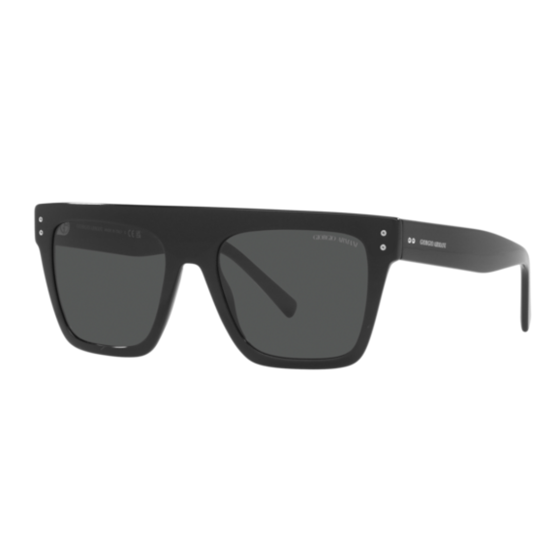 Giorgio Armani AR 8177 500187