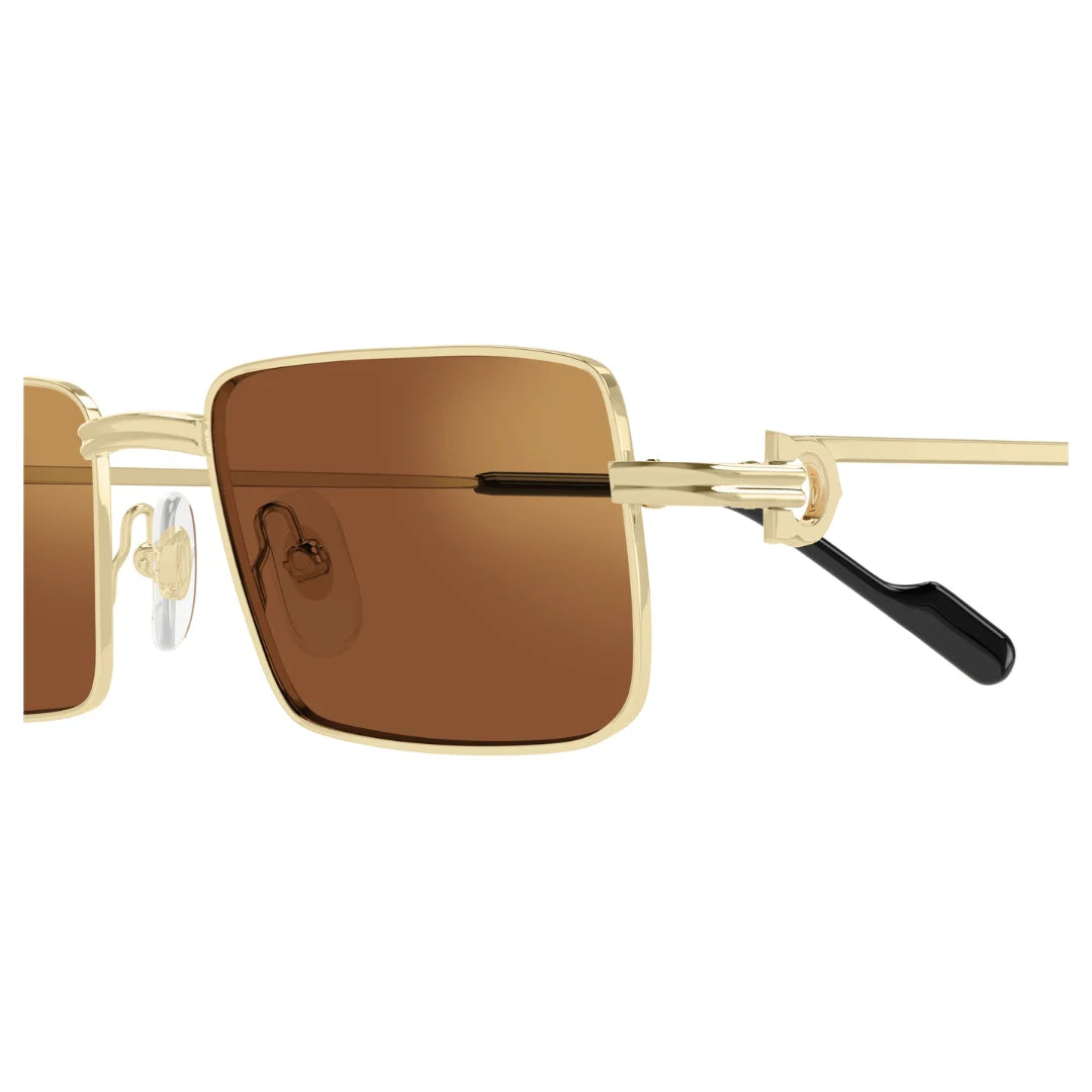 Cartier CT0501S 002
