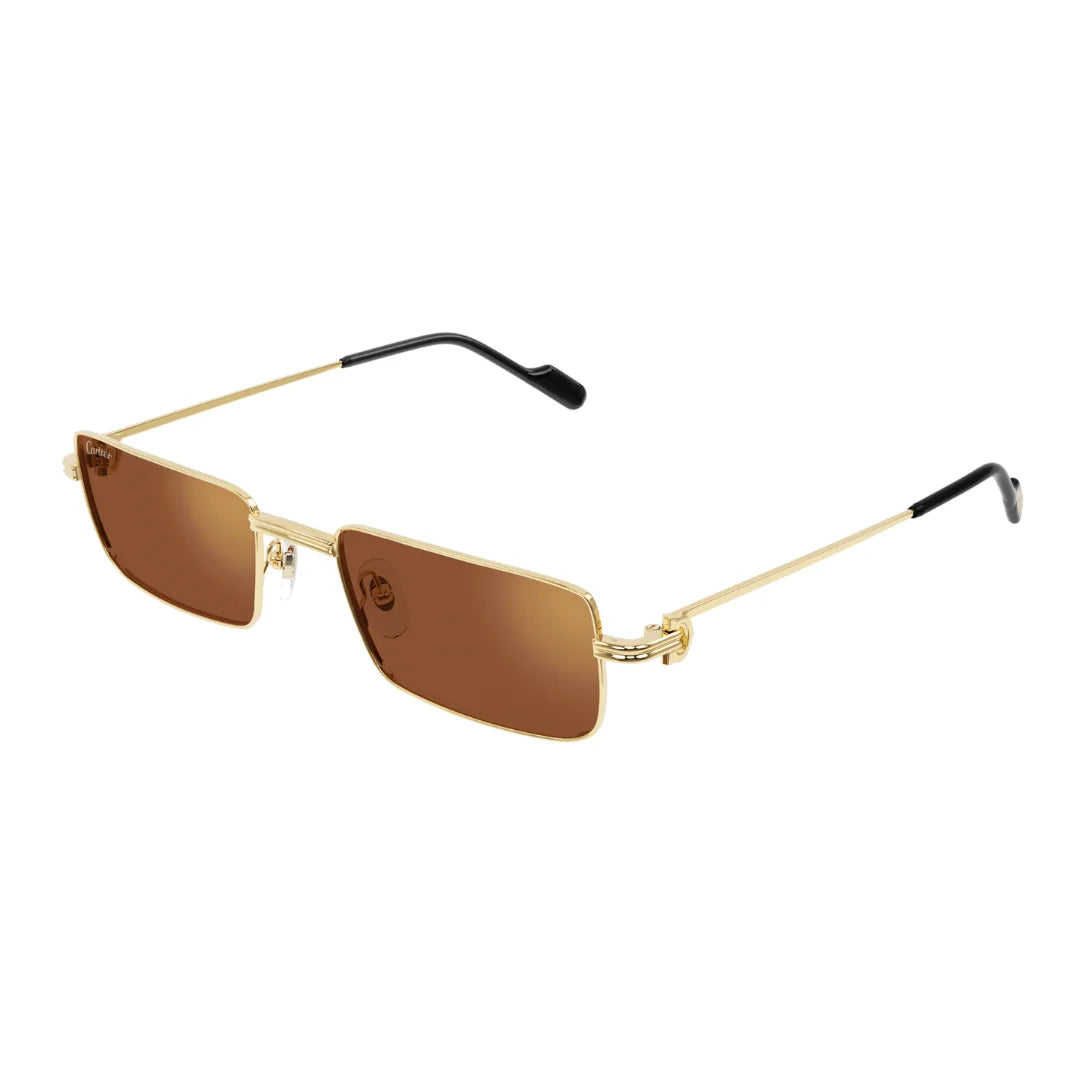 Cartier CT0501S 002