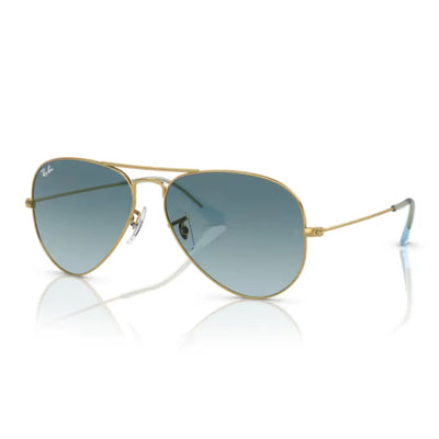 Ray Ban RB3025 001/3M 55 Sunglasses tilt view