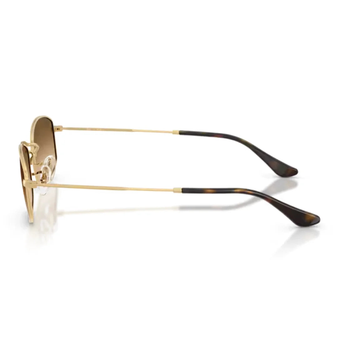 Ray Ban RB3832 001/51 55 Sunglasses side view