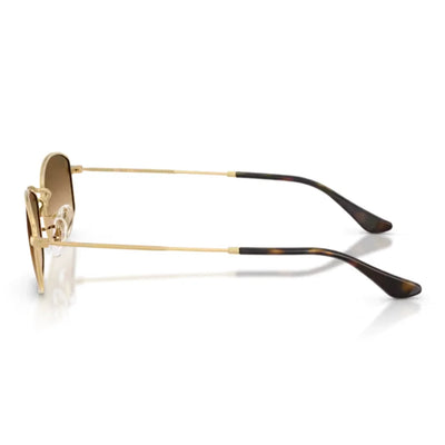 Ray Ban RB3832 001/51 55 Sunglasses side view