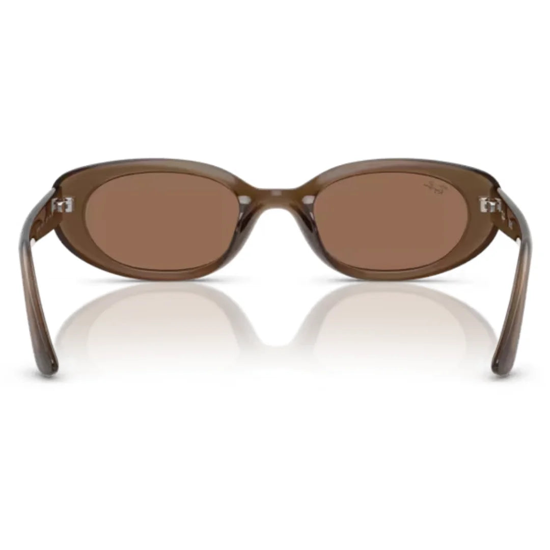 Ray Ban RB4441D 677973 53 Sunglasses back view
