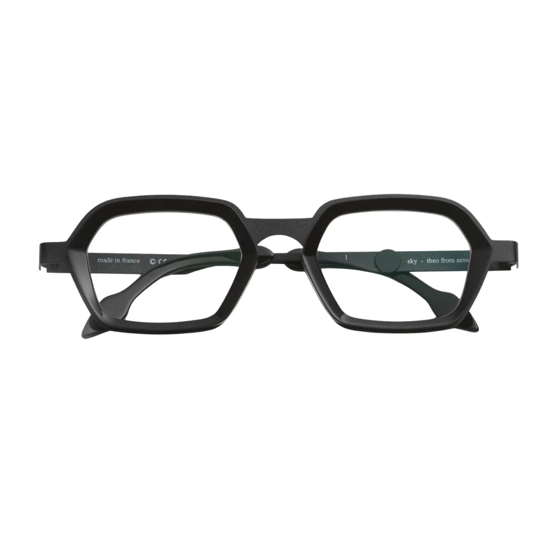 Theo SKY Clin D’Oeil 001 46 Frame