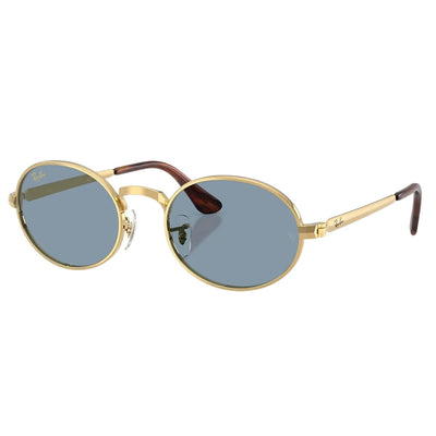 Ray Ban RB3931 ASAP Rocky 00156 54 Sunglasses
