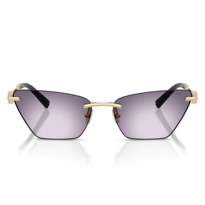 Tiffany & Co. TF3120 62438H Sunglasses