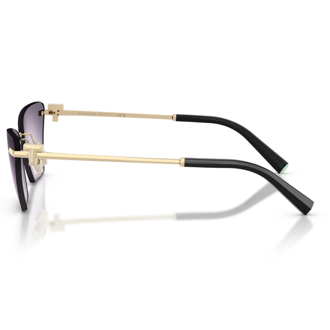 Tiffany & Co. TF3120 62438H Sunglasses
