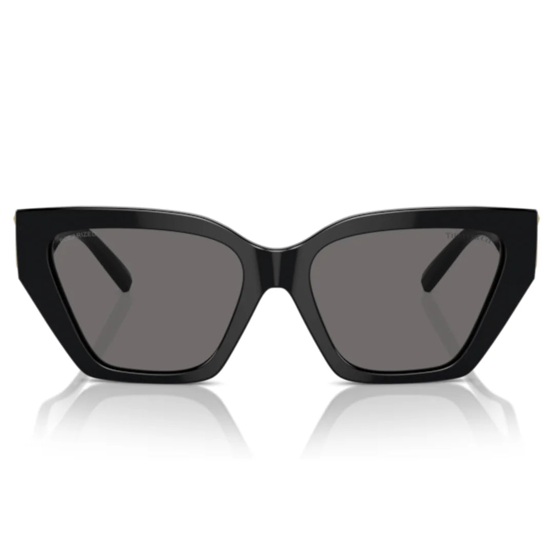 Tiffany & Co. TF4218 8001 81 Polarised