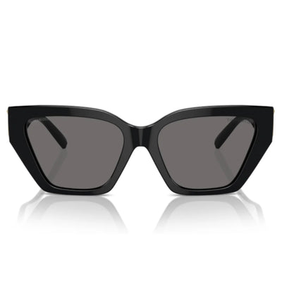 Tiffany & Co. TF4218 8001 81 Polarised