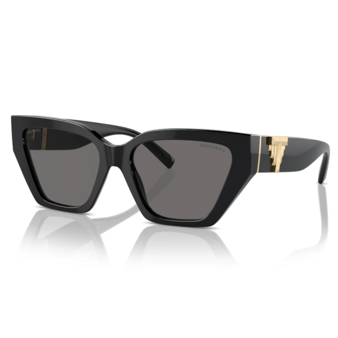 Tiffany & Co. TF4218 8001 81 Polarised