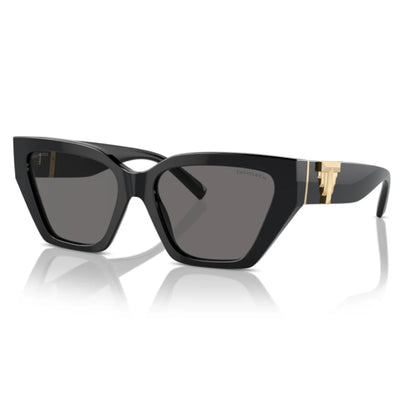 Tiffany & Co. TF4218 8001 81 Polarised