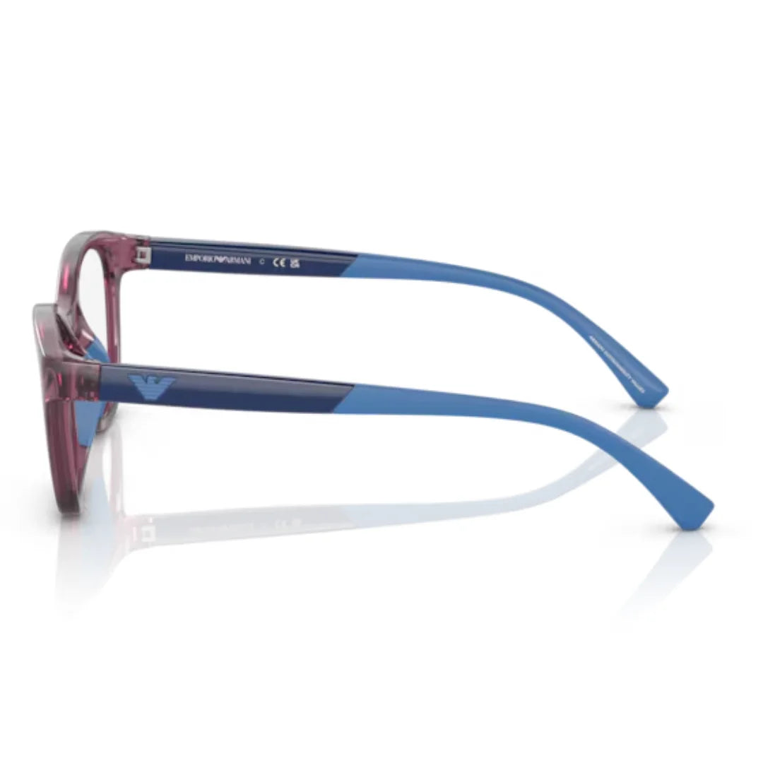 Emporio Armani 0EK3204 5897