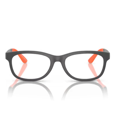 Emporio Armani 0EK3001 5001