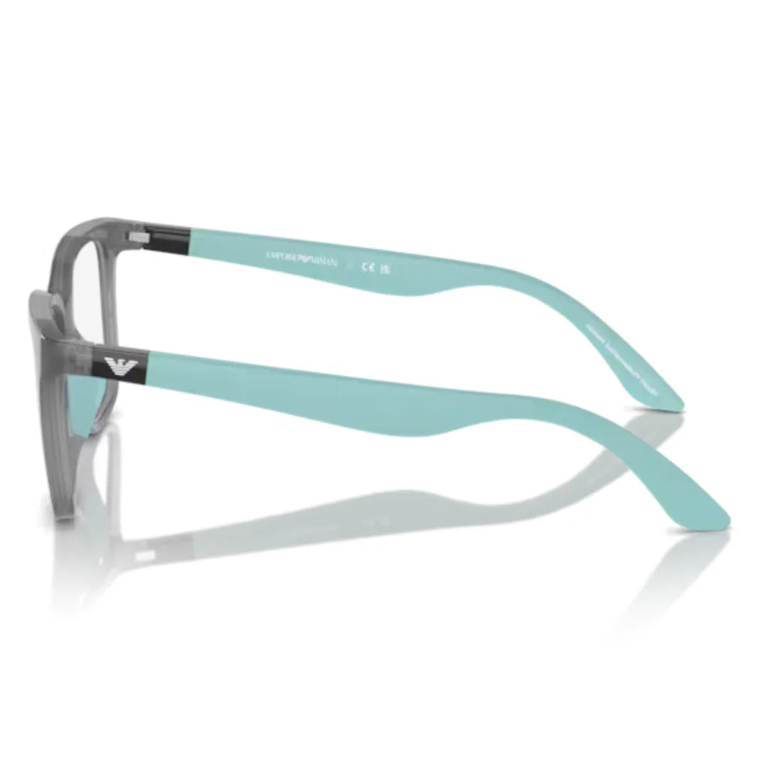 Emporio Armani 0EK3006 6134