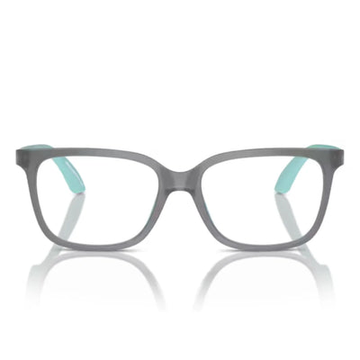 Emporio Armani 0EK3006 6134