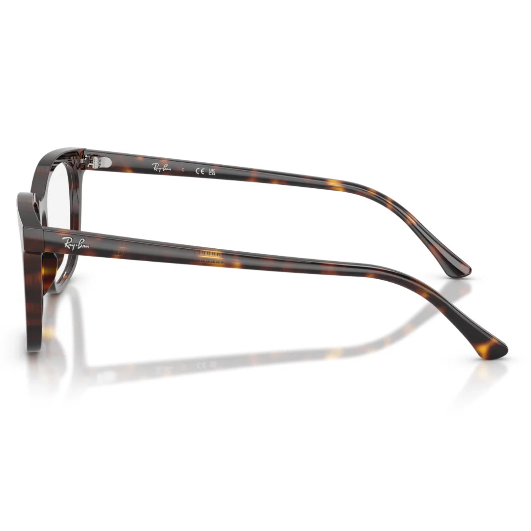 Ray Ban 0RX5446 2012 51