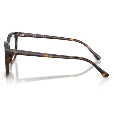 Ray Ban 0RX5446 2012 51