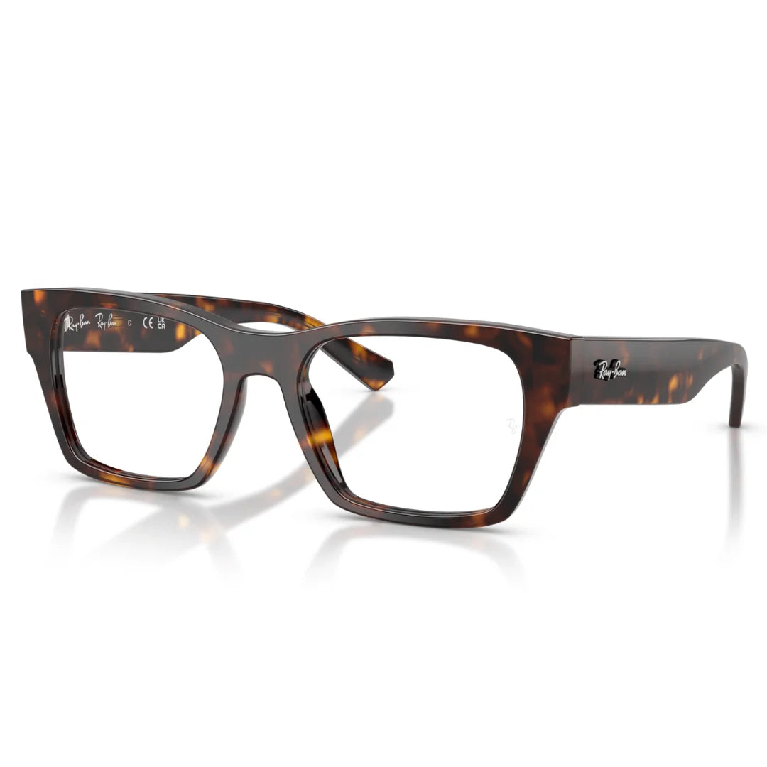 Ray Ban 0RX5448 2012 53