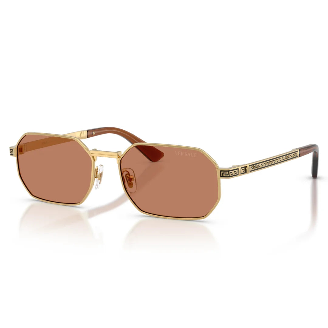Versace VE2297 100273 54
