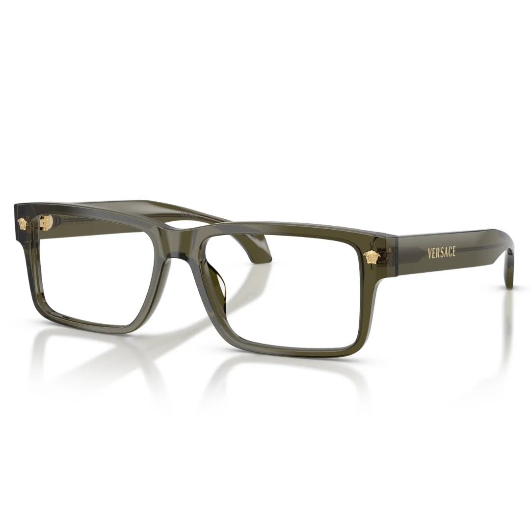 Versace VE3391U 5542 56