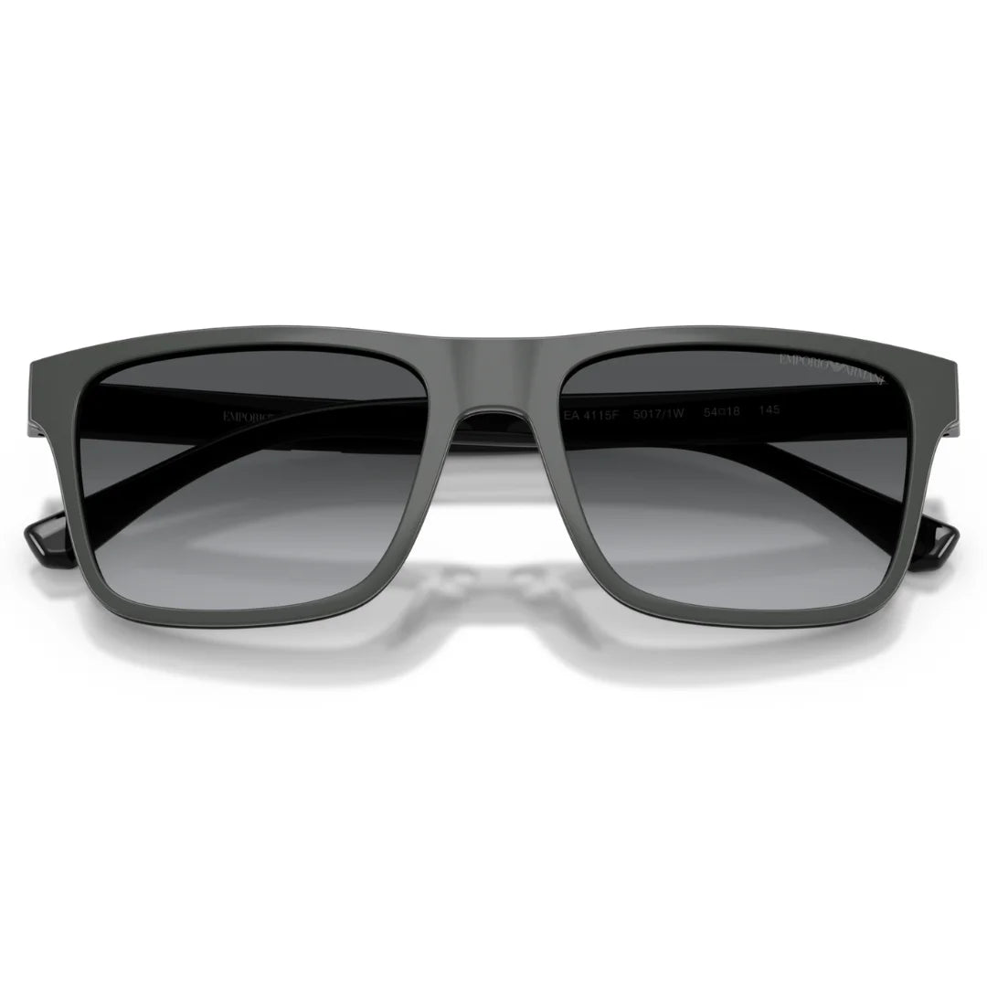 Emporio Armani 0EA4115F 5017 1W 54