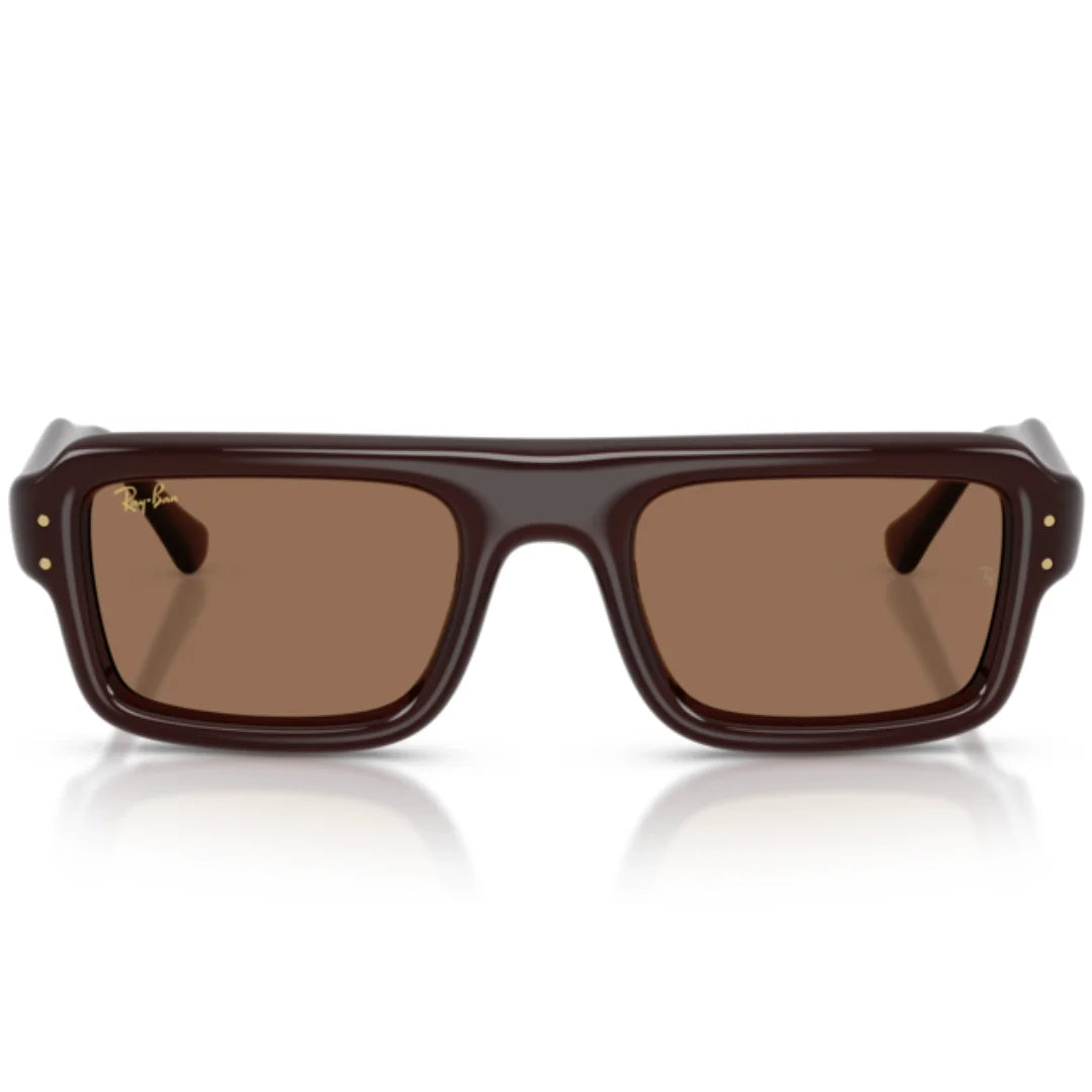 Ray Ban RB4954 6896 73 Sunglasses