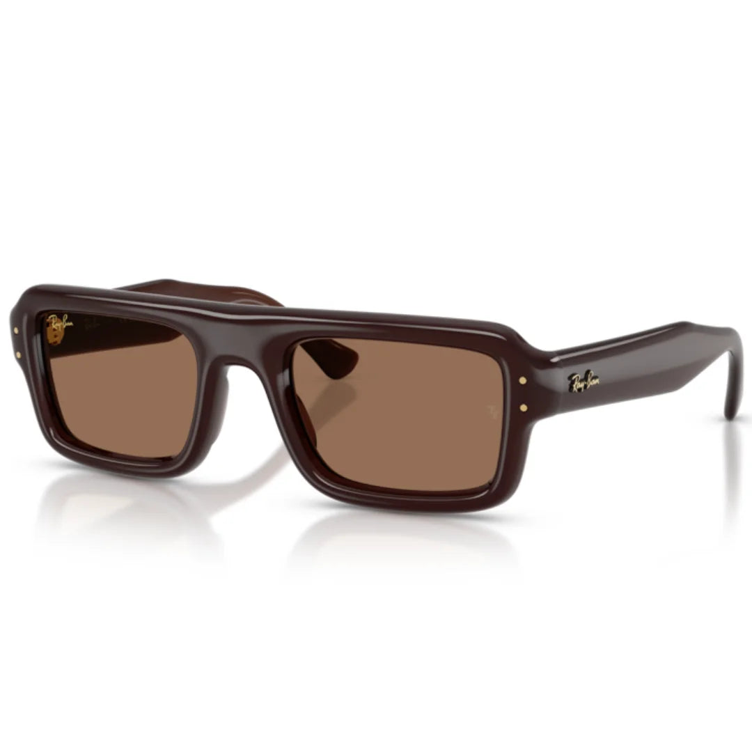 Ray Ban RB4954 6896 73 Sunglasses