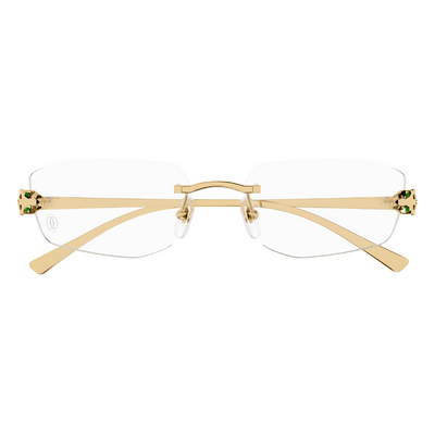 Cartier CT0494O 001